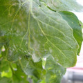 159902_20171128114413_01.JPG