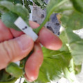 159902_20171128115657_01.JPG