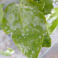 159902_20171213112234_01.JPG