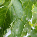159902_20171213112616_01.JPG