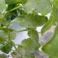159902_20171215133927_01.JPG