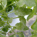 159902_20171215133927_03.JPG