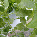 159902_20171215133928_03.JPG