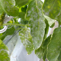 159902_20171215133933_02.JPG
