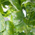 159902_20171215134127_01.JPG