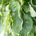 159902_20171215134137_01.JPG