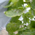 159902_20171215134150_02.JPG
