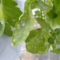 159902_20171215134155_03.JPG