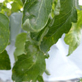 159902_20171215134211_03.JPG