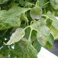 159902_20171215134246_03.JPG