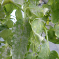 159902_20171215134357_01.JPG