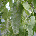 159902_20171215134358_01.JPG