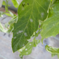 159902_20171215134448_04.JPG