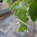 159902_20171215134512_04.JPG