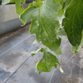 159902_20171215134513_01.JPG