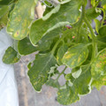159902_20171215134525_01.JPG