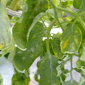 159902_20171215134531_03.JPG