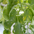 159902_20171215134531_04.JPG