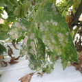 159904_20171102132408_01.JPG