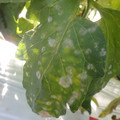 159904_20171106093655_01.JPG