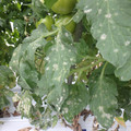 159904_20171108110138_01.JPG