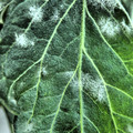 159905_20171004142423_01.JPG