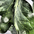 159905_20171004142811_01.JPG