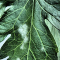 159905_20171004142859_01.JPG