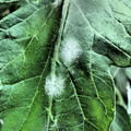 159905_20171004142942_01.JPG
