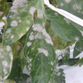 159905_20171010110135_01.JPG