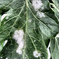 159905_20171010110329_01.JPG