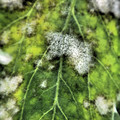 159905_20171013141656_01.JPG