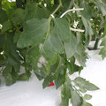159905_20171013141901_01.JPG