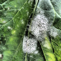 159905_20171013141917_01.JPG