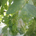 159905_20171026132033_01.JPG