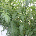 159905_20171027155026_01.JPG