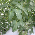 159905_20171027155121_01.JPG