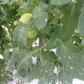 159905_20171027155153_01.JPG