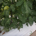 159905_20171027155156_01.JPG