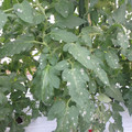 159905_20171027155255_01.JPG
