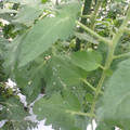 159905_20171027155313_01.JPG