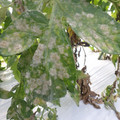 159905_20171102132418_01.JPG