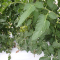 159905_20171108110131_01.JPG