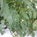 159905_20171108110234_01.JPG