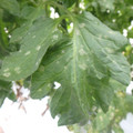 159905_20171121132835_01.JPG