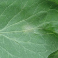349903_20170821110331_01.JPG