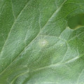349903_20170821113507_01.JPG