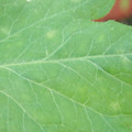 340003_20181122153935_01.JPG