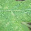 340003_20181122153946_01.JPG