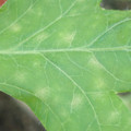 340003_20181122153947_01.JPG